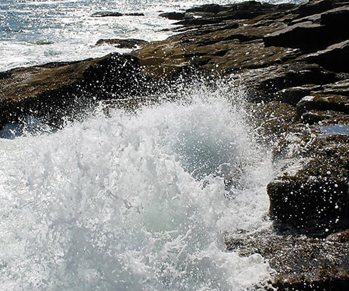 Rocky Coast of Maine